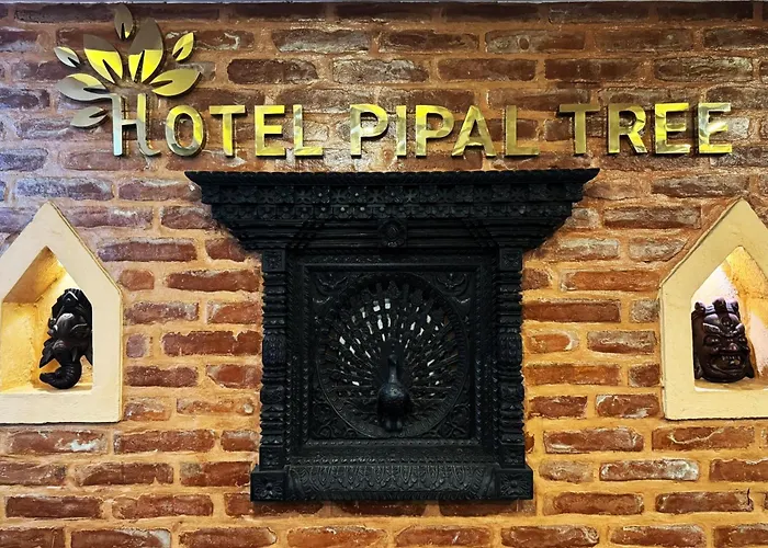 Pipal Tree * Катманду
