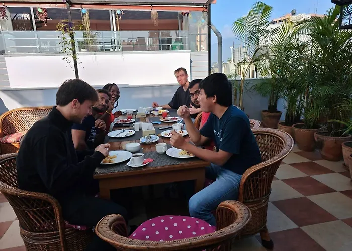 Hotel Pipal Tree