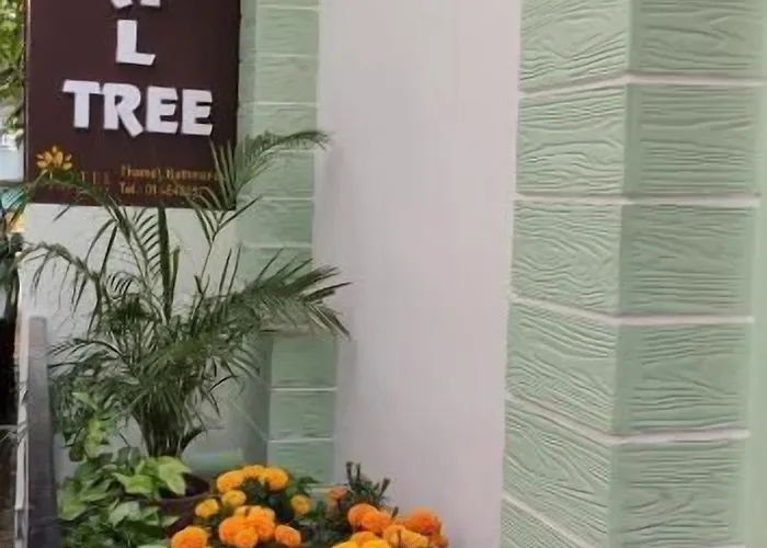 Hotel Pipal Tree *